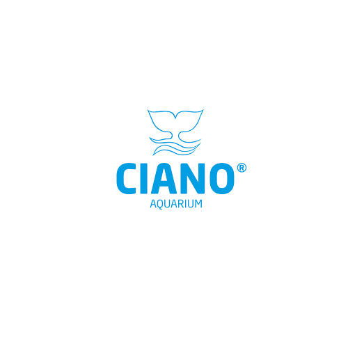 Client 20